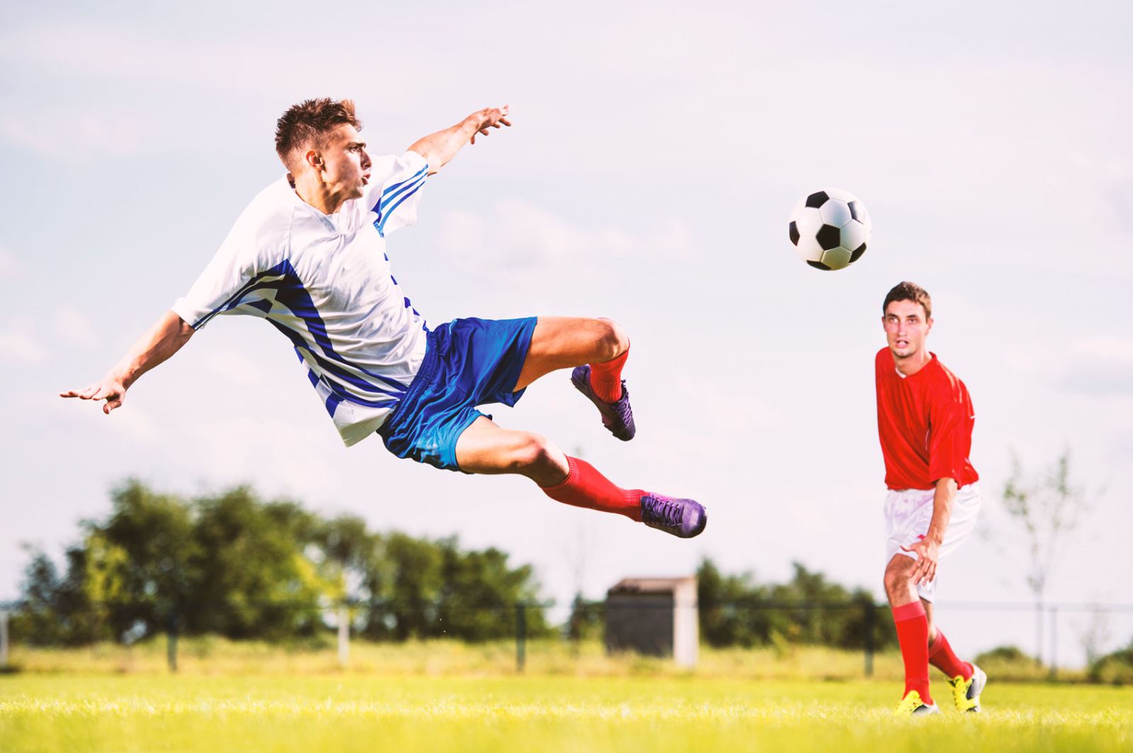 为豪门与 为豪门与