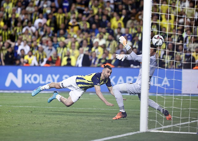 她依然通过 她依然通过