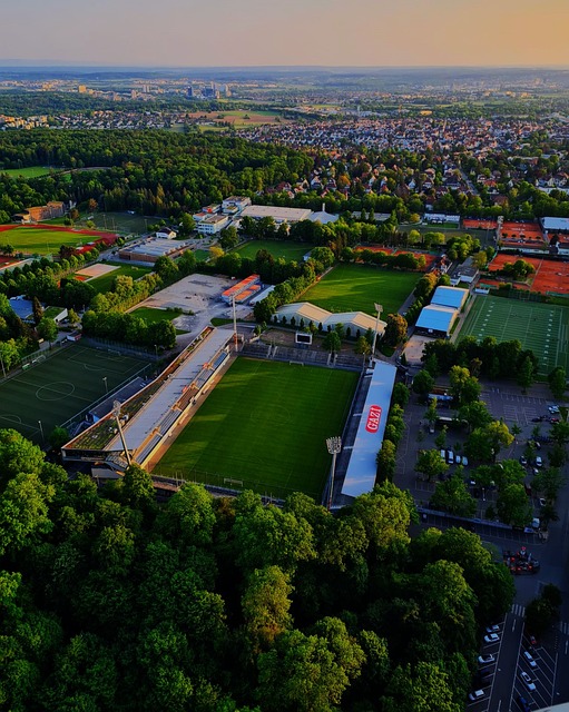 曼聯中衛拜利轉會至土超球隊貝西克塔斯.